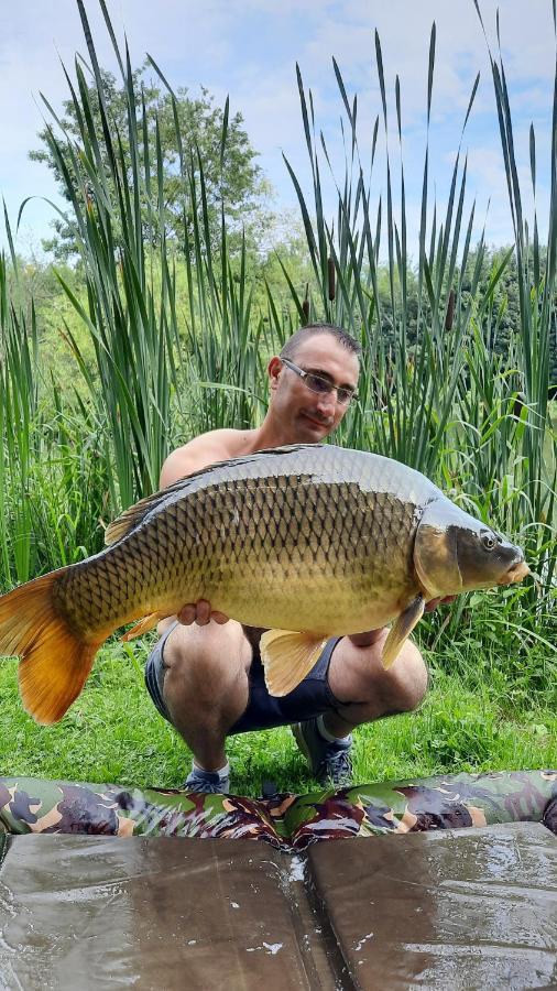 Lonny Les Etangs Du Moulin D'Harcy Bed & Breakfast エクステリア 写真